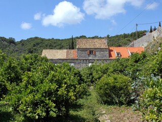 Holiday room Zaton bei Dubrovnik  5