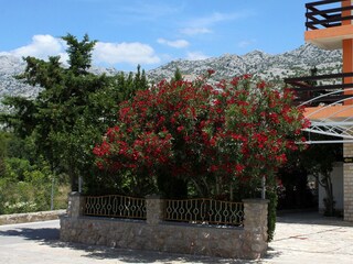 Apartment Starigrad  4