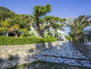 Two bedroom apartment with terrace and sea view Kampor, Rab A-14841-b