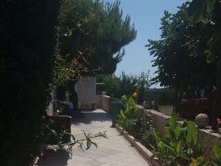 Apartment Povljana  12