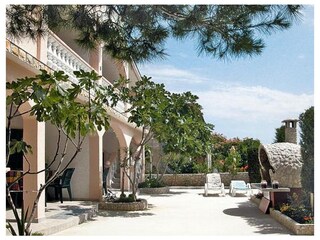 Apartment Povljana  1