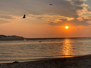 Appartamento per vacanze Cadzand-Bad Ambiente 26