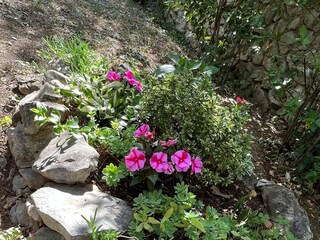 Apartment Jadranovo  4