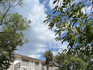 Apartment Jadranovo  5