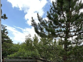 Apartment Jadranovo  15