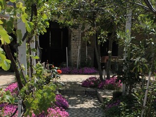 Apartment Povljana  12