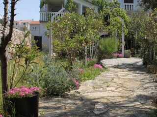 Apartment Povljana  13