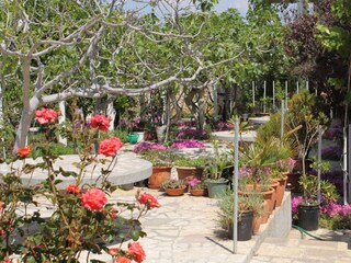 Holiday room Povljana  11