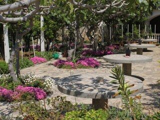 Holiday room Povljana  8