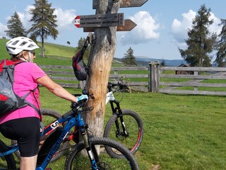 Appartamento per vacanze Vöran Ambiente 21