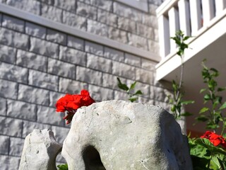 Apartment Korcula (Stadt)  4