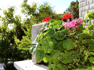 Apartment Korcula (Stadt)  6