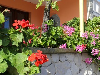 Apartment Korcula (Stadt)  49