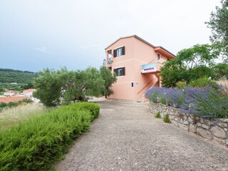 Apartment Dragove  7