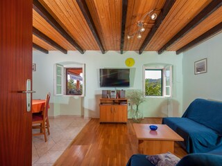 Apartment Dragove  14