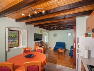 Apartment Dragove  15