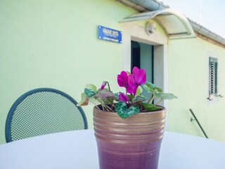 Apartment Dragove  35