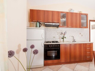 Apartment Dragove  4