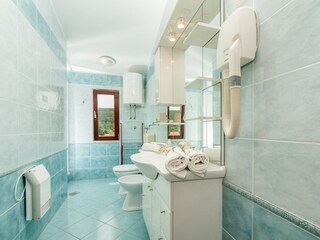 Apartment Dragove  14