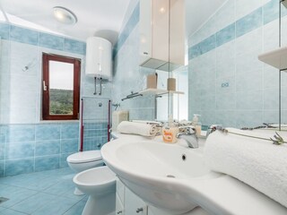 Apartment Dragove  15