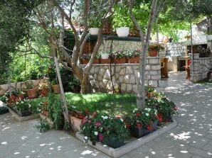 Two bedroom apartment with balcony and sea view Lopar, Rab A-23747-b