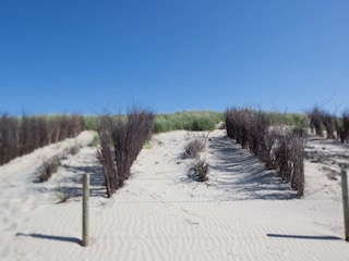 Dünenlandschaft