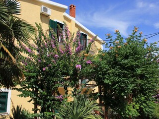 Apartment Kukljica (Ugljan)  8