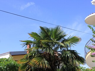 Apartment Kukljica (Ugljan)  9