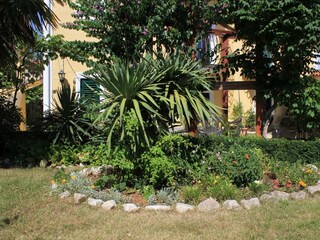 Apartment Kukljica (Ugljan)  12