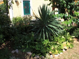 Apartment Kukljica (Ugljan)  14