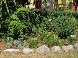 Apartment Kukljica (Ugljan)  15