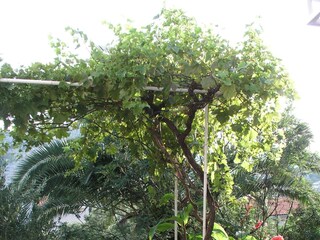 Ferienhaus Vinisce  4