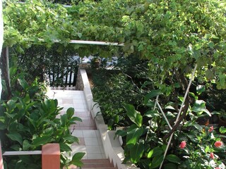 Ferienhaus Vinisce  5