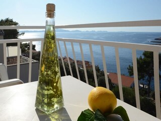 Apartment Zavalatica  15