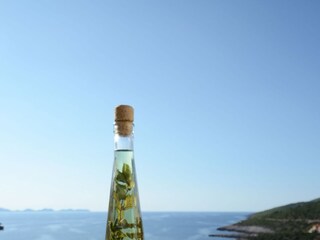 Apartment Zavalatica  16