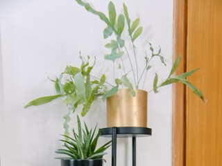 Ferienhaus Grabovac  26