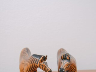 Holiday house Grabovac  29