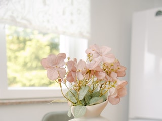 Ferienhaus Grabovac  31