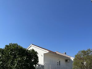 Two bedroom apartment with terrace Novalja, Pag A-22963-e