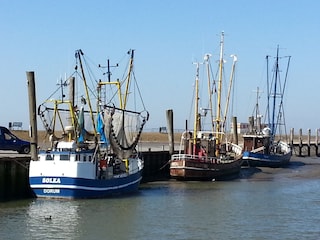 Kutterhafen