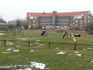 Hundespielplatz