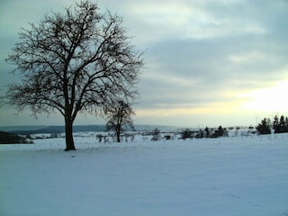 Apartamento Pelm Entorno 22