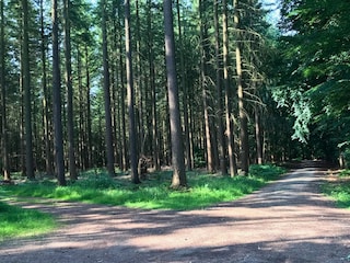 Appartement Pelm Omgeving 23