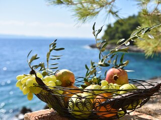 Ferienhaus Zastražišće  45