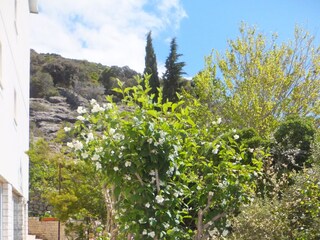 Apartment Supetarska Draga  9