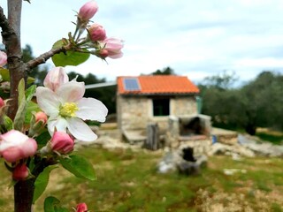 Holiday house Mrljane  7