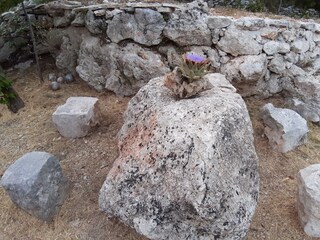 Holiday house Mrljane  11