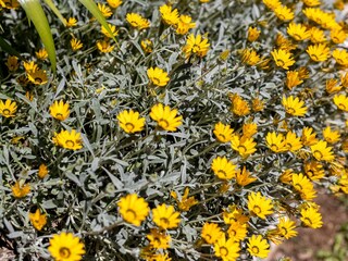 Ferienhaus Mošćenice  24