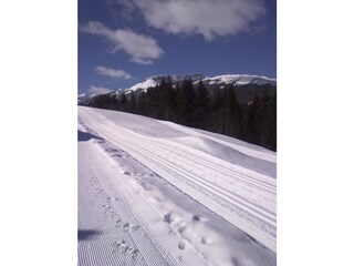 Appartamento per vacanze Riezlern Ambiente 20