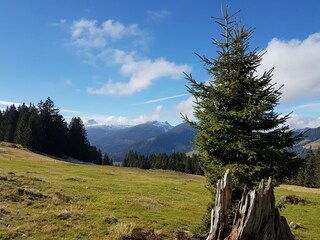 Appartamento per vacanze Riezlern Registrazione all'aperto 4